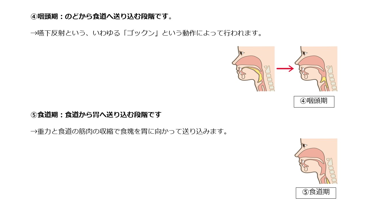 稲次病院 摂食嚥下 リハビリテーション